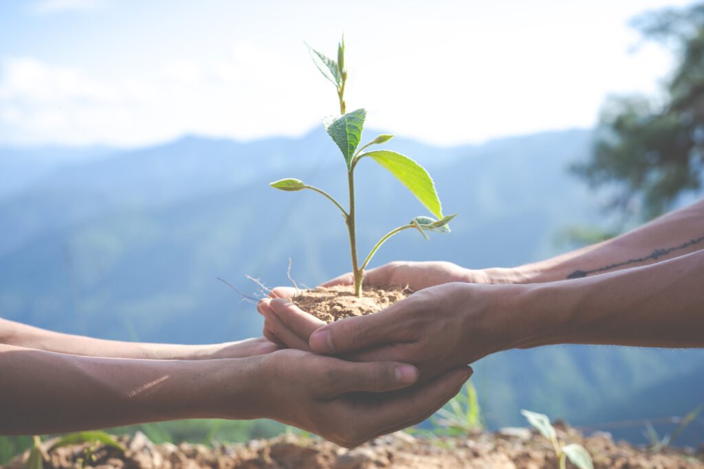 Our Work concept of environmental conservation in the garden for children.